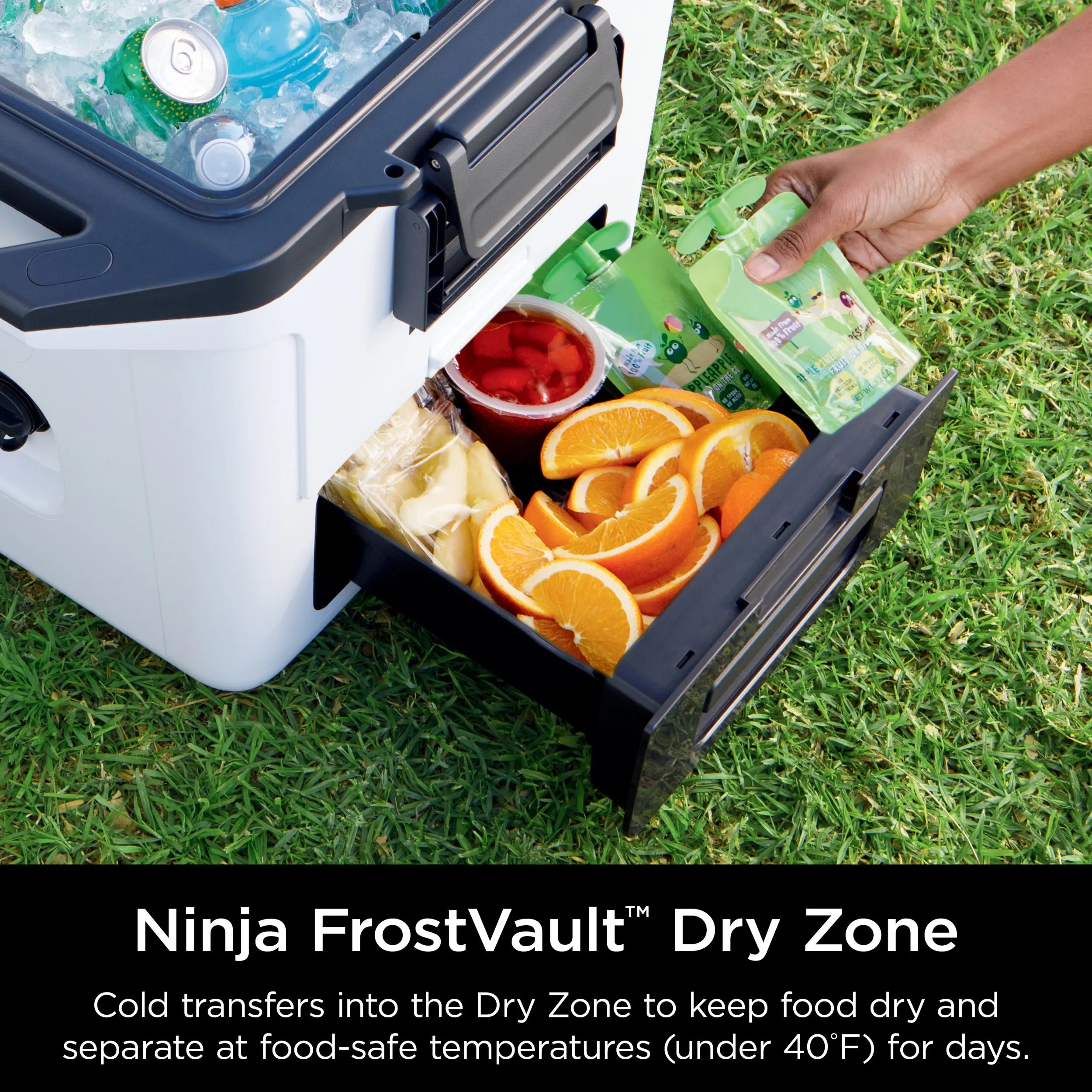 Ninja Frostvault 30Qt Hard Cooler with Dry Zone - FB131