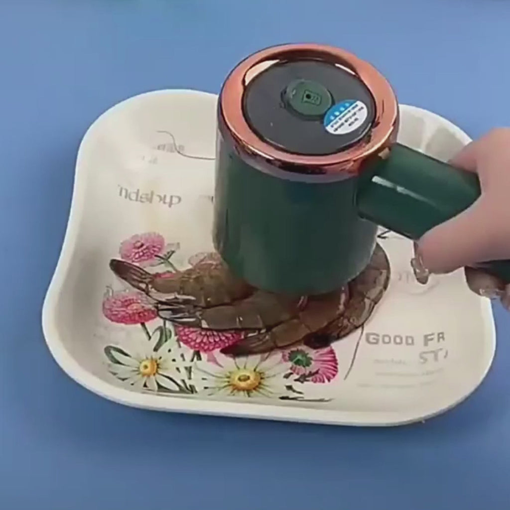 Compact Travel & Home Iron